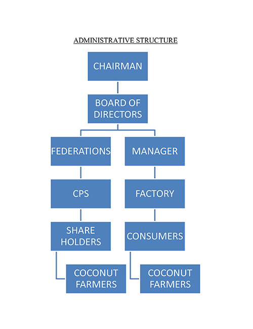 Administrative Structure