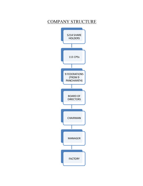 Company Structure