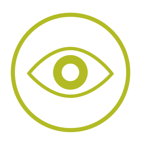 vision icon